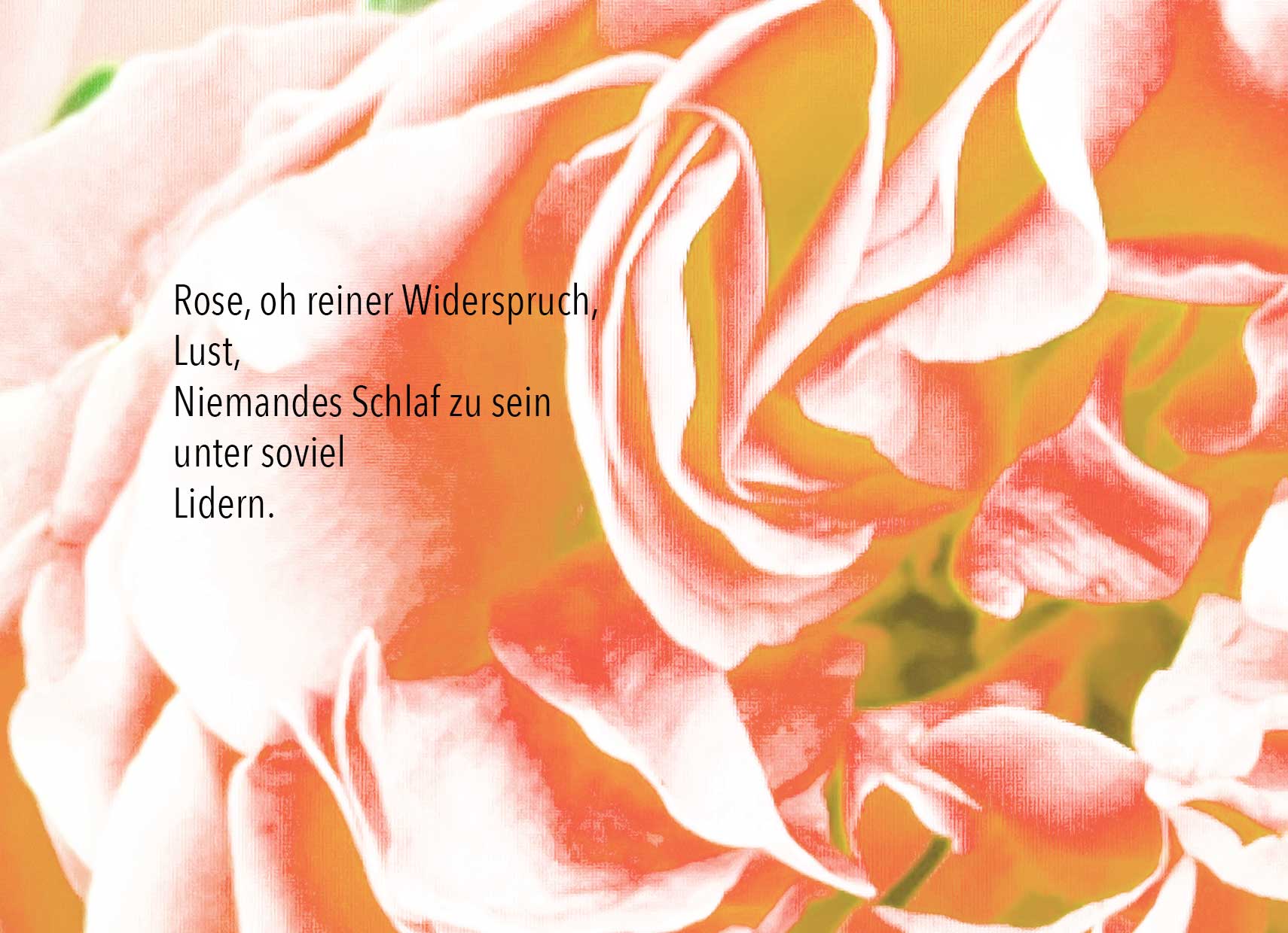 rilke-6.9.26.jpg